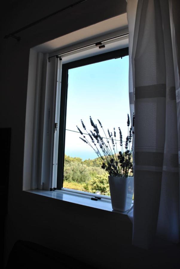 Monika Lefkada Hotel Tsoukaládhes Екстериор снимка